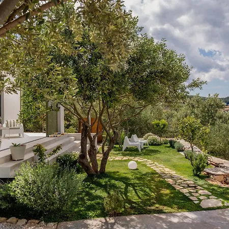 Villa Solta Tonka *
