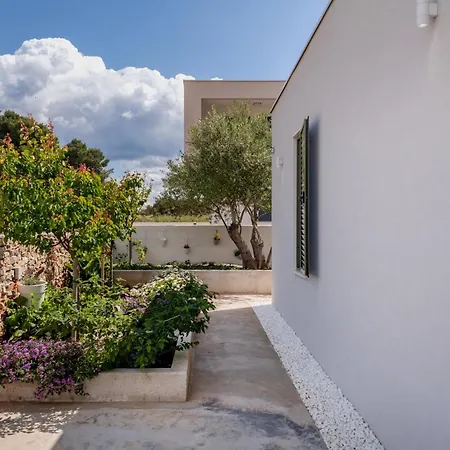 Solta Tonka * Grohote